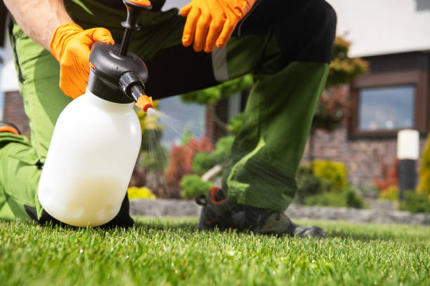 Best Flea Control Services  in Gerber, CA