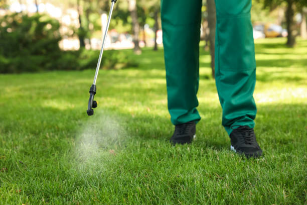 Best Residential Pest Control  in Gerber, CA