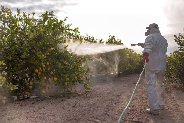 Best Best Pest Control Companies  in Gerber, CA