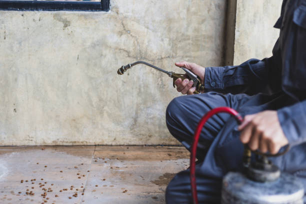 Best Best Pest Control Companies  in Gerber, CA